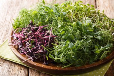 Bezelye, kişniş, musta bahar salataları microgreen için Madde