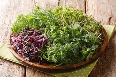 bezelye, kişniş, hardal, rad gelen vejetaryen çiğ gıda microgreen