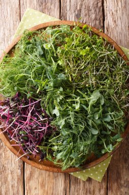 Bezelye vitamini diyet mikroyeşil, kişniş, hardal, turp ro