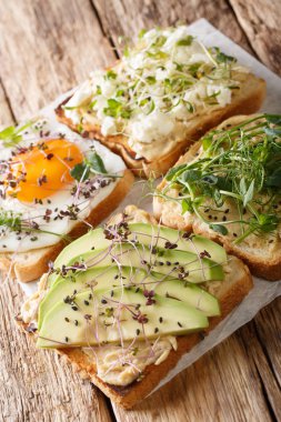 Humus, avokado, beyaz peynir, mikroyeşil sağlıklı sandviçler