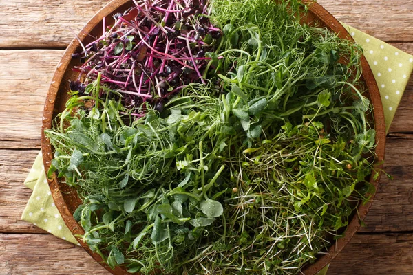 Vitamin Dietary microgreen av ärter, koriander, senap, rättika ro — Stockfoto