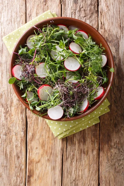 Весенний салат из редьки с микрозеленой смесью крупным планом в миске. V — стоковое фото
