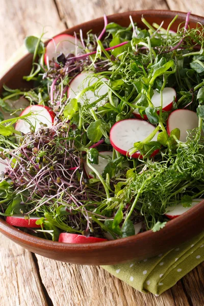 Fresh vitamin radish salad with microgreen mix close-up in a bow — Stock Photo, Image