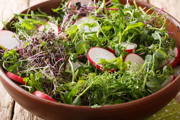 Köstlicher Rettichsalat mit mikrogrüner Mischung aus nächster Nähe in einer Schüssel. h — Stockfoto