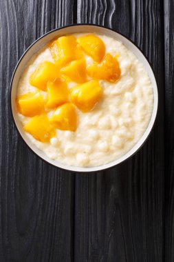 Hindistan cevizi sütü ve taze mango yakın çekim ile Tatlı tapyoka puding