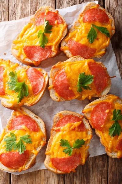 Torrada aberta assada pizza com salsicha de salame e queijo derretido che — Fotografia de Stock