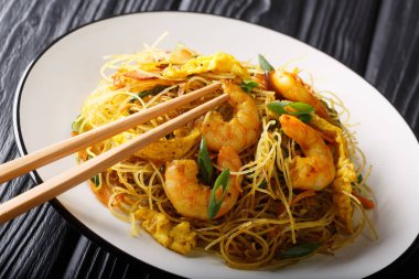 Tavada kızartılmış yemek Mei Fun bir tabakta yakın çekim. Yatay