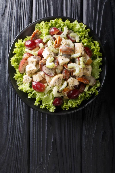 Sonoma salad with chicken breast, celery, pecans and grapes seas — Stock Photo, Image