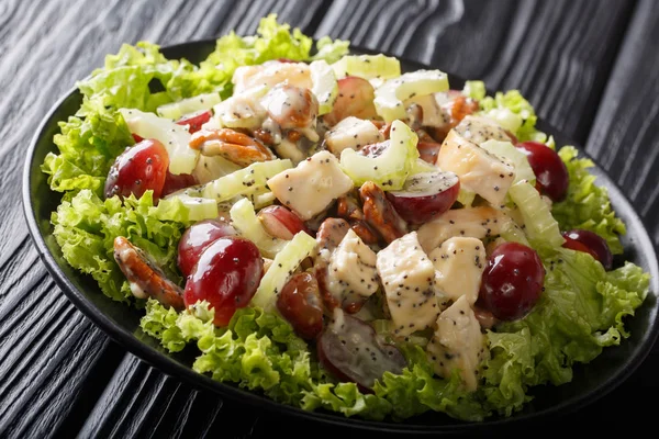 Sonoma salad with chicken, celery, Pecan and grapes served with — Stock Photo, Image
