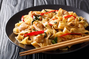 Sıcak Tay Mutfak yakın Drunken Noodles (Pad Kee Mao) Tarifi