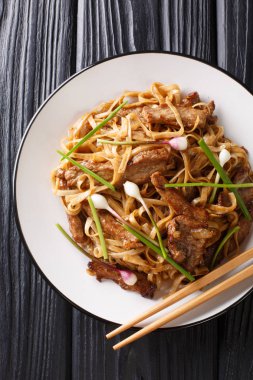 Sığır Chow Fun Noodles (Tavada Ho Fun) Kanton çanak closeup 