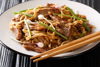 Klasik Kanton usulü Biftek Chow Fun Noodles tabağa yakın çekim 