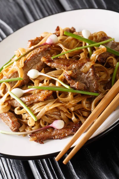 Beef Chow Fun Nudeln (gebraten ho fun) kantonesischen Gericht Nahaufnahme — Stockfoto