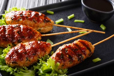 Geleneksel Japon Tsukune ızgara tavuk köftesi yakın çekim 