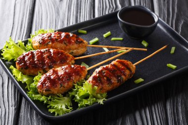 tavuk Yakitori şiş aile arasında favori, bu Japonya