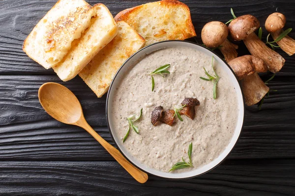 Puré de sopa espesa de hongos silvestres frescos con tomillo de cerca en — Foto de Stock