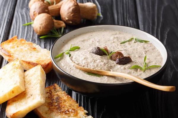 Soup puree forest boletus mushrooms close up in a bowl served wi — Stock Image Soup puree forest boletus mushrooms close up in a bowl served wi Stock Photo