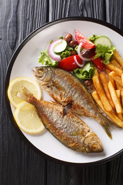 Portion of fried Salema porgy fish with lemon, french fries and — Stock Photo, Image
