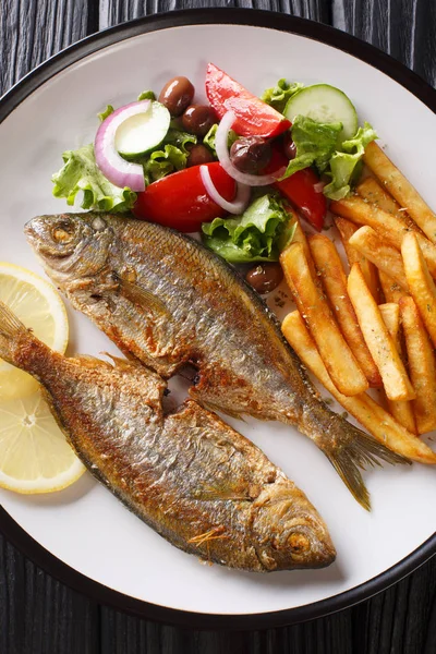 Fried Salema porgy fish with a side dish of fresh salad and fren — Stock Photo, Image