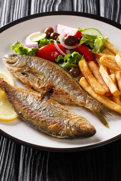 Salema frito peixe porgy com um prato de salada fresca e fren — Fotografia de Stock