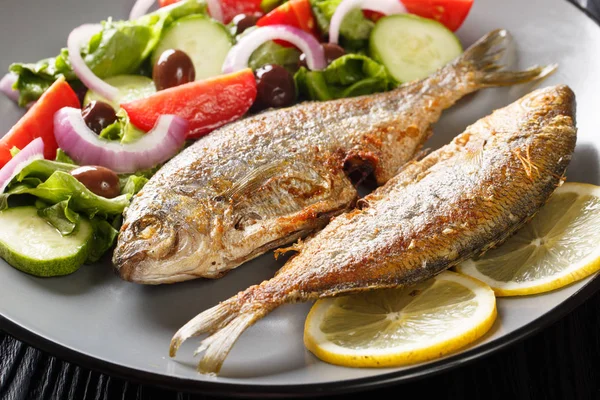 Fresh fried Sarpa salpa fish with summer vegetable salad  and le — Stock Photo, Image