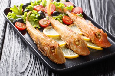 Taze sebze sala ile Akdeniz kavrulmuş deniz balığı kırlangıç