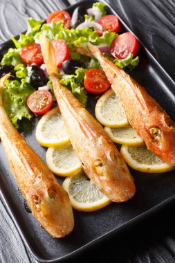 Taze sebze salatası ve LEMO ile kavrulmuş Triglidae veya kırlangıç