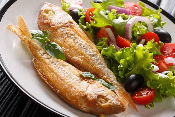 Delicious fried pink dorado with lemon and fresh vegetable salad — Stock Photo, Image