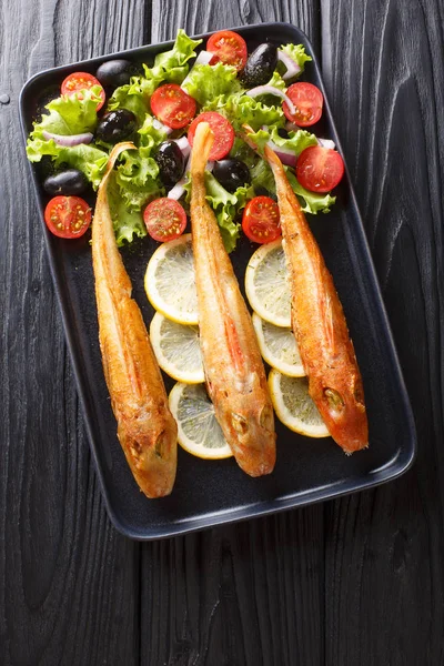 Mediterran gebratener Seefisch Knurrhahn mit frischem Gemüsesala — Stockfoto