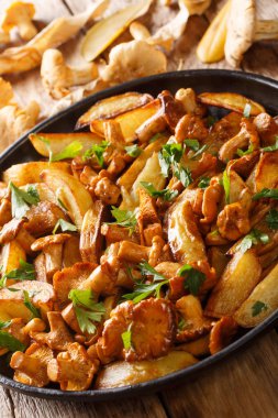 Orman mantarları ile baharatlı kızarmış patates chanterelles yakın çekim o