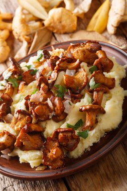 Fried chanterelles ve maydanoz CL ile lezzetli patates püresi