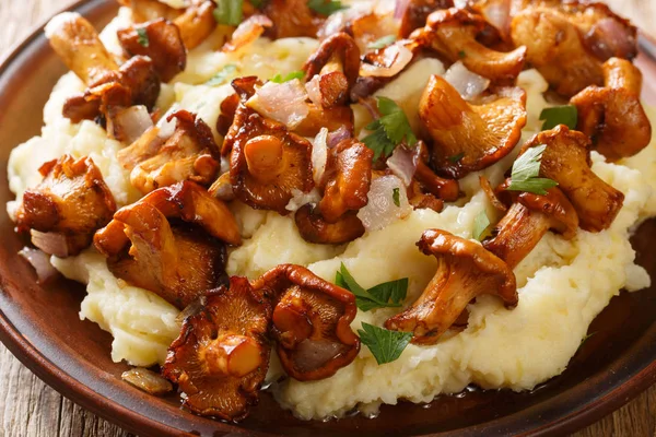 Fried chanterelle forest mushrooms with mashed potatoes close-up