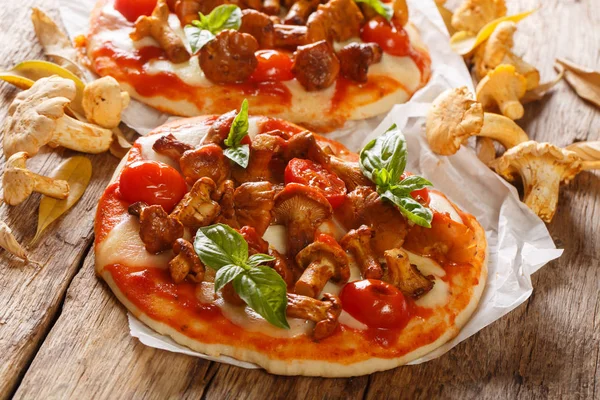 Closeup of freshly baked mushroom pizza with chanterelles, chees