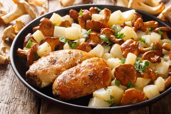 Пряная куриная грудка с картофельным гарниром и лисичками — стоковое фото