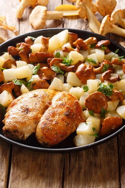 Gebratene Hühnerbrust mit Kartoffeln und Pfifferlingen in Nahaufnahme auf — Stockfoto