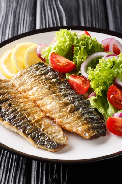 Grilled mackerel fillet with a side dish of fresh vegetable sala — Stock Photo, Image