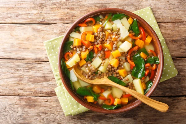 Sopa de lentejas recién cocida con verduras y espinacas de cerca — Foto de Stock