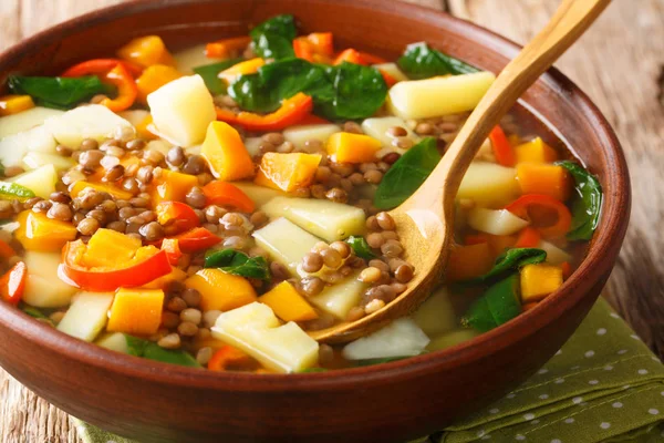 Sabrosa sopa casera con verduras, lentejas y espinacas close-u —  Fotos de Stock