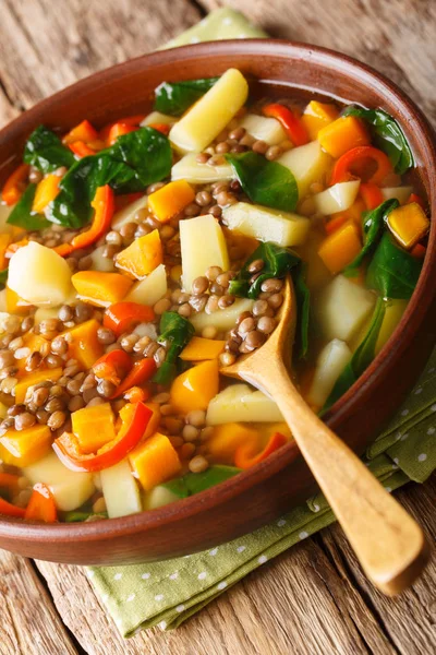 Χορτοφαγική σούπα λαχανικών με φακές και σπανάκι σε κοντινό πλάνο σε α — Φωτογραφία Αρχείου