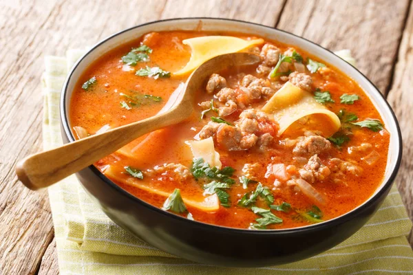 Sopa de lasanha saborosa com carne picada, tomate, queijo e ervas — Fotografia de Stock