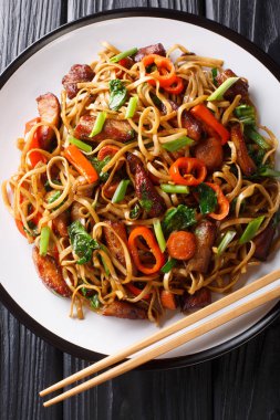 Domuz etli ve sebzeli Çin eriştesi tabakta yakın plan.. 