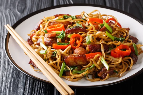 Nudeln mit Schweinefleisch, Paprika, Kohl, Zwiebeln und Karotten — Stockfoto