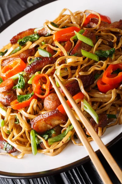 Chow mein nouilles avec porc et légumes gros plan sur une assiette . — Photo