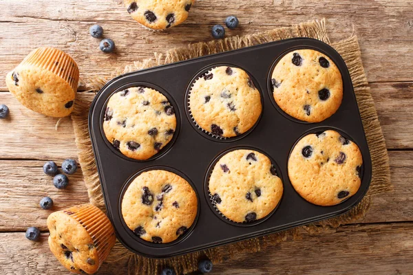 Healthy breakfast muffins with blueberries close-up in a baking dish on the table. horizontal top view from abov