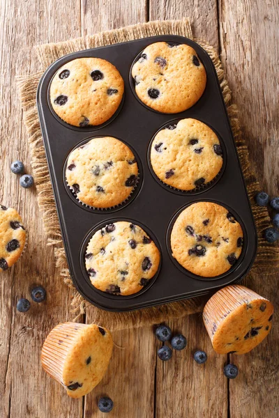 Deliciosos Muffins Com Mirtilos Close Uma Assadeira Mesa Vista Superior — Fotografia de Stock