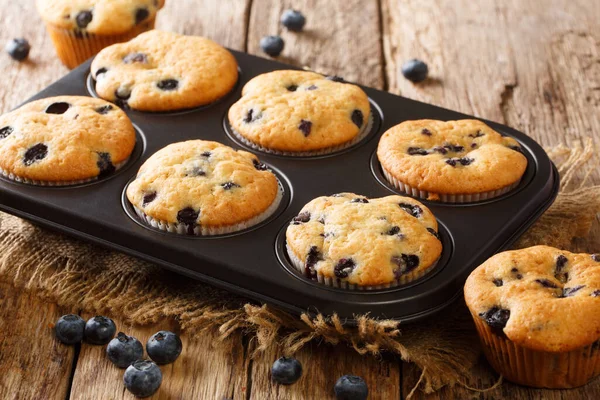 Healthy breakfast muffins with blueberries close-up in a baking dish on the table. horizonta