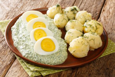 Alman usulü patates, haşlanmış yumurta ve yeşil sos tabakta yakın plan. yatay