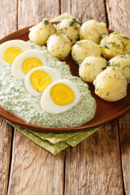 Geleneksel Frankfurter Gruene Sosse yeşil sosu, haşlanmış patates ve yumurtaları yakın plan bir tabakta. dikey
