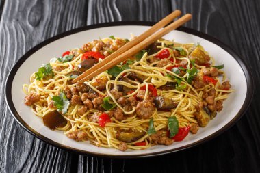 Yumurtalı erişte, kızarmış patlıcan ve yakın plan domuz eti. yatay