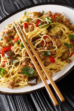 Çin patlıcanlı, kıymalı, yumurtalı erişteli, masanın üstünde. dikey